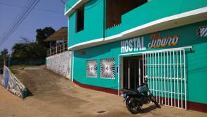 Hostal Jibaro Hotel  Hotels  Tarapoto