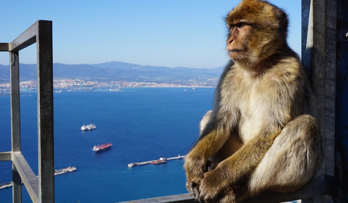 Day trip to Gibraltar with departure from Quarteira